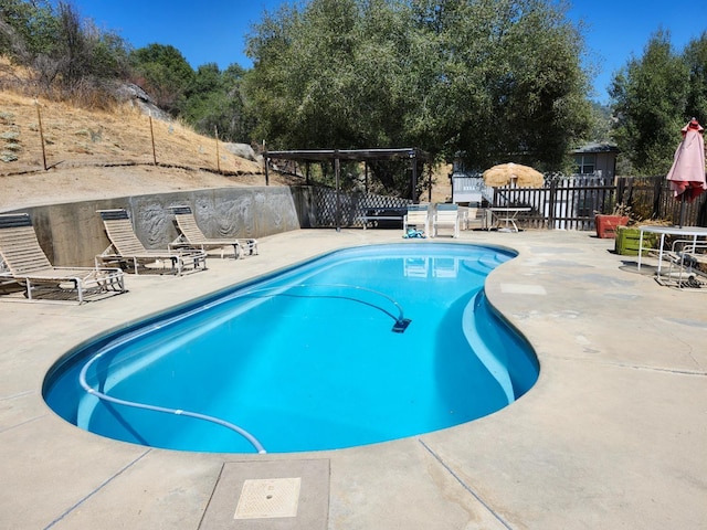 view of swimming pool with a patio