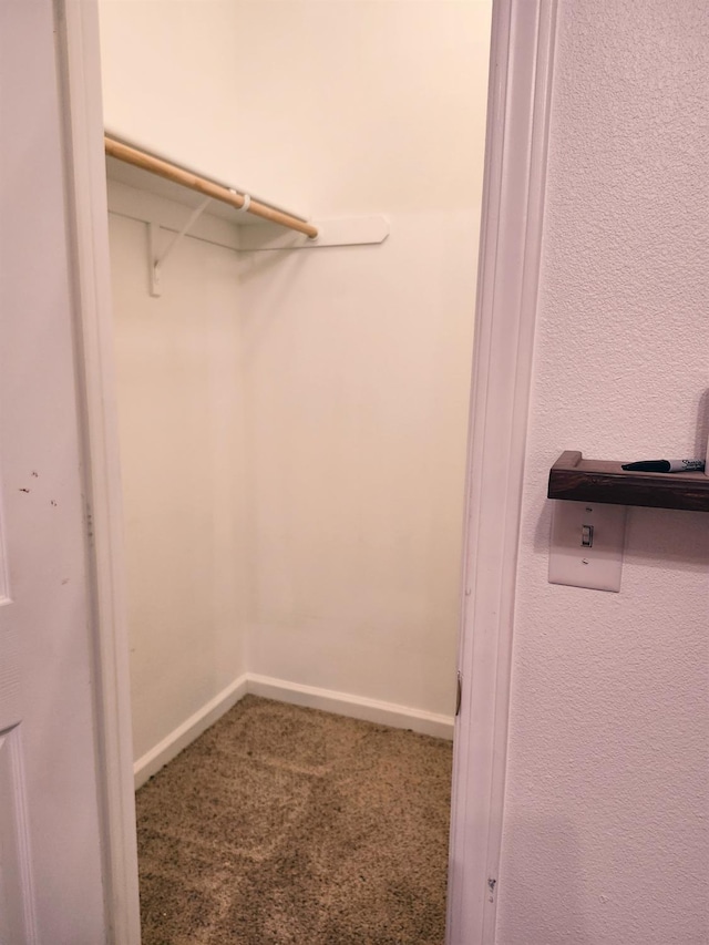 walk in closet featuring carpet floors