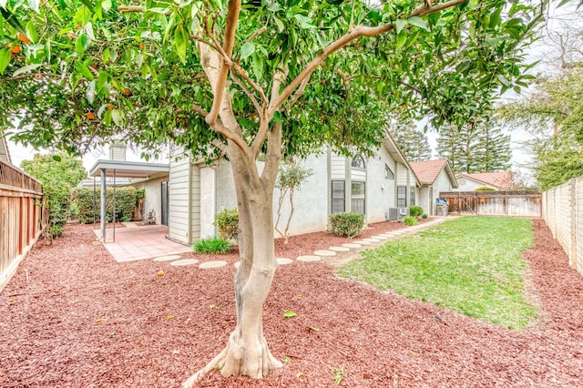 view of yard with a patio