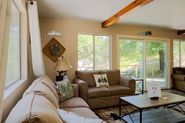 43149 W Sugar Pine Dr, Oakhurst, CA 93644 - photo 7