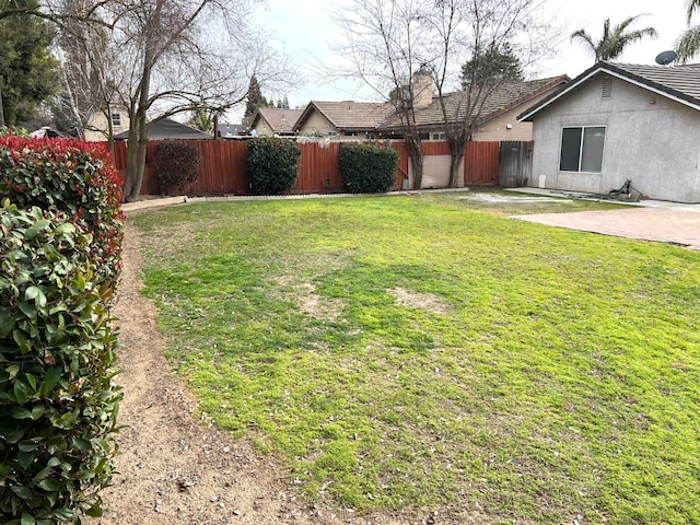 view of yard featuring a patio area