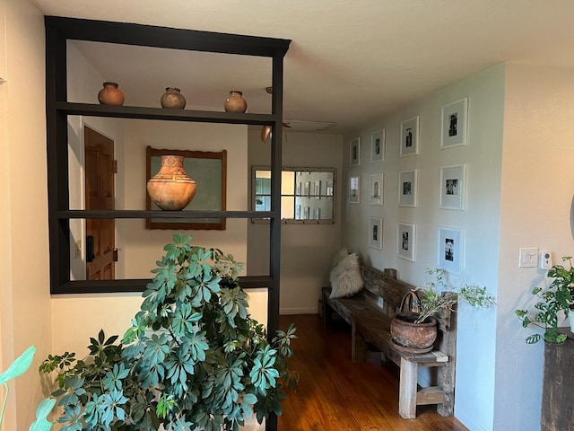 corridor featuring hardwood / wood-style floors