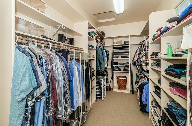 walk in closet featuring light colored carpet