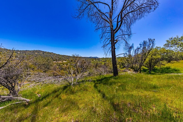 Listing photo 2 for 1 Jim Bowie Ct, Coarsegold CA 93614