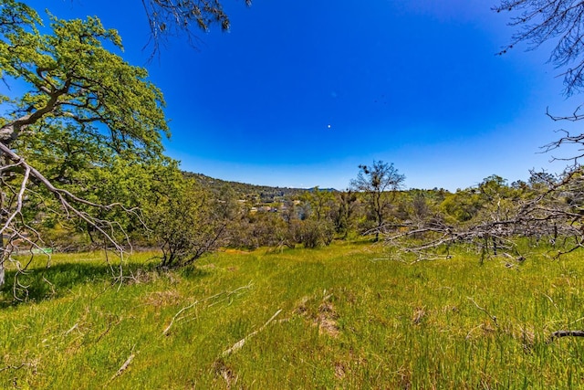 1 Jim Bowie Ct, Coarsegold CA, 93614 land for sale