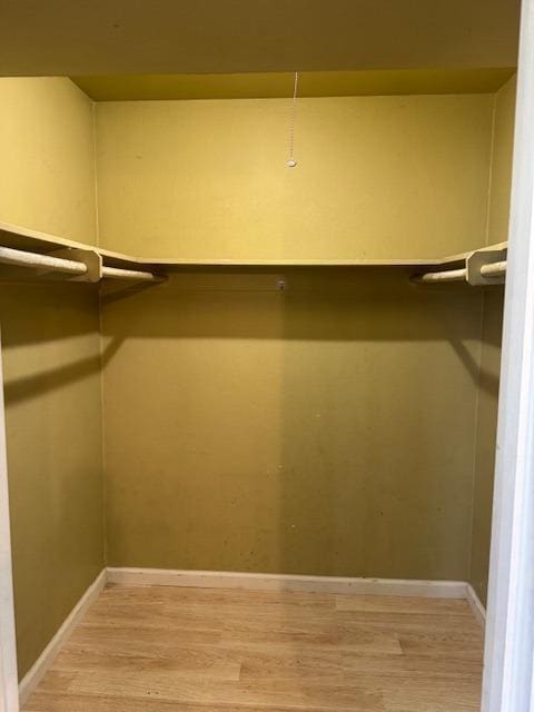 spacious closet featuring hardwood / wood-style flooring