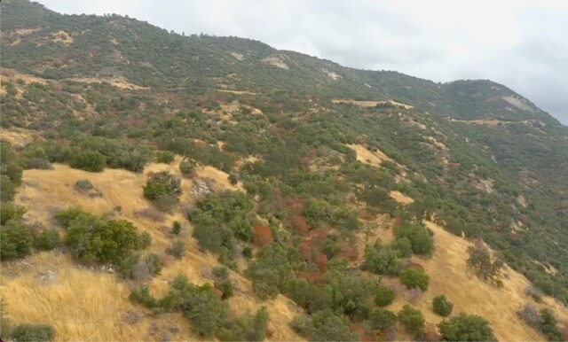 1 Millwood Rd, Dunlap, CA 93621 - photo 7