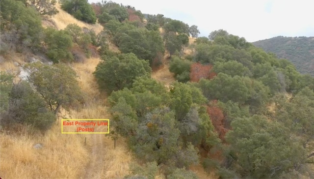 1 Millwood Rd, Dunlap, CA 93621 - photo 4