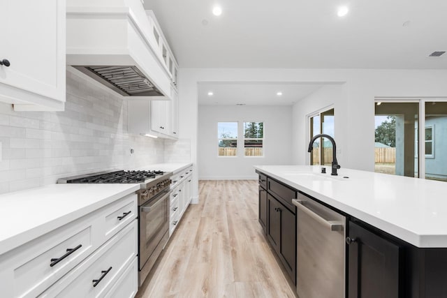 kitchen with white cabinetry, sink, custom exhaust hood, and appliances with stainless steel finishes