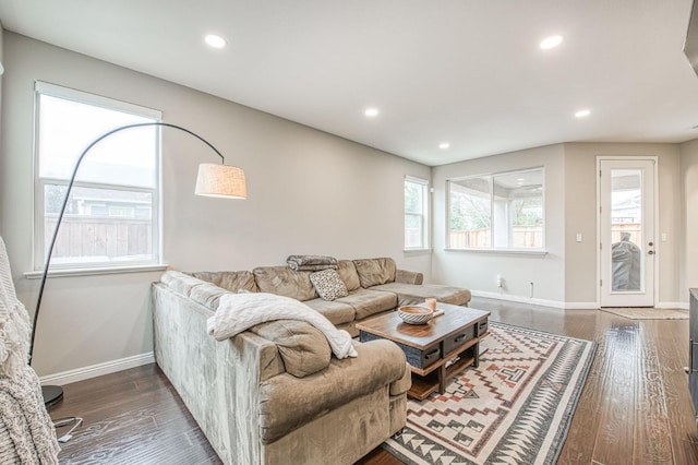 living room with dark hardwood / wood-style flooring