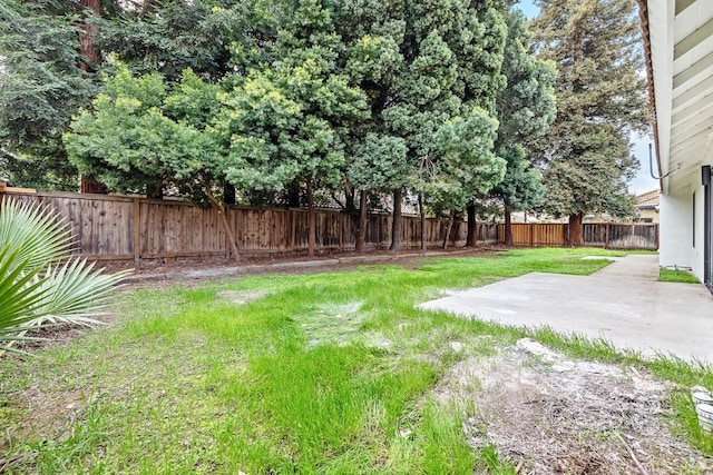 view of yard featuring a patio area