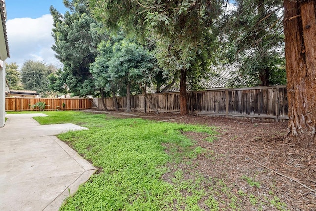 view of yard featuring a patio area