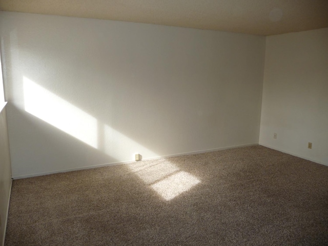 unfurnished room with carpet floors