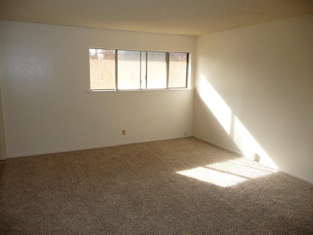 spare room featuring a textured ceiling and carpet flooring