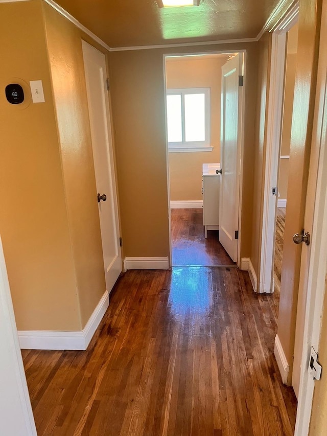 hall with a baseboard radiator and dark hardwood / wood-style floors