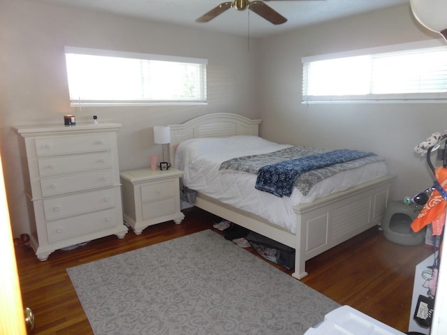 bedroom featuring ceiling fan, dark hardwood / wood-style flooring, and multiple windows