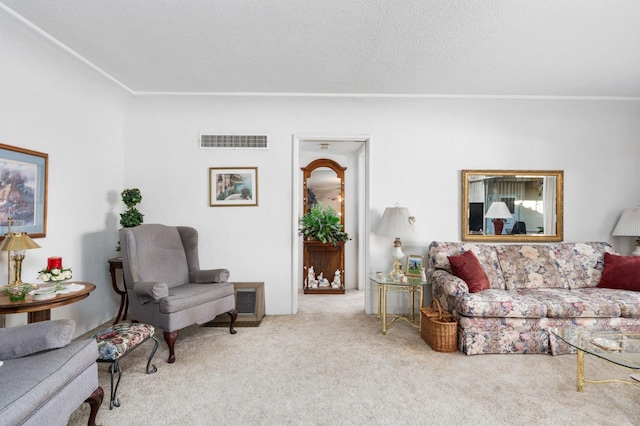 carpeted living room featuring a textured ceiling