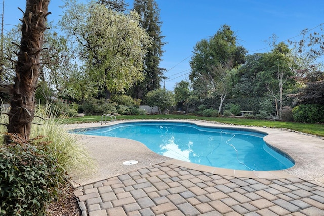 view of swimming pool with a patio area