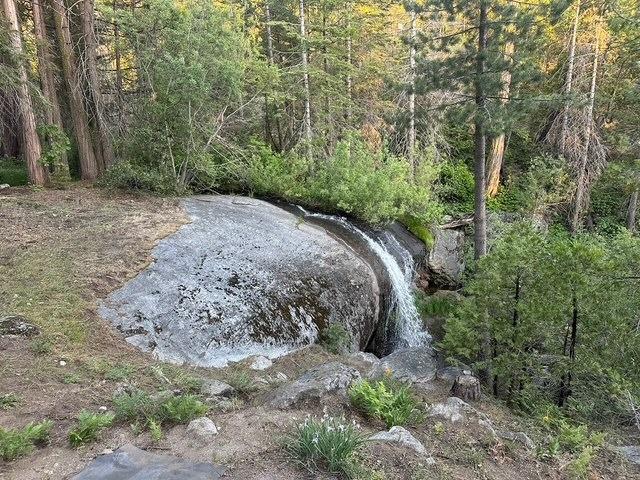 view of local wilderness with a wooded view