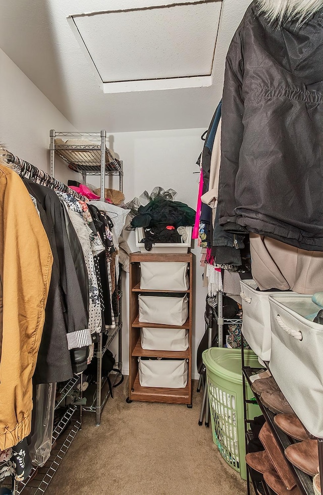 spacious closet with carpet