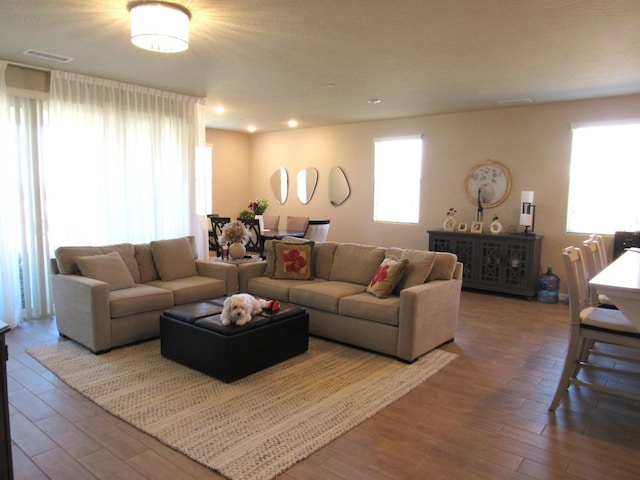 living room with hardwood / wood-style floors and a wealth of natural light