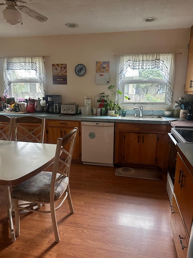 kitchen featuring plenty of natural light, a textured ceiling, electric range, and white dishwasher