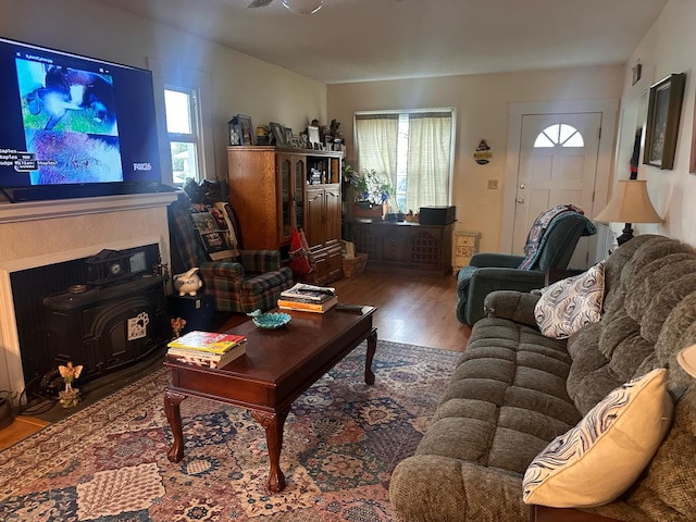 living room featuring wood-type flooring and a wood stove