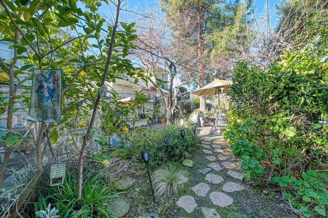 view of yard featuring a patio area