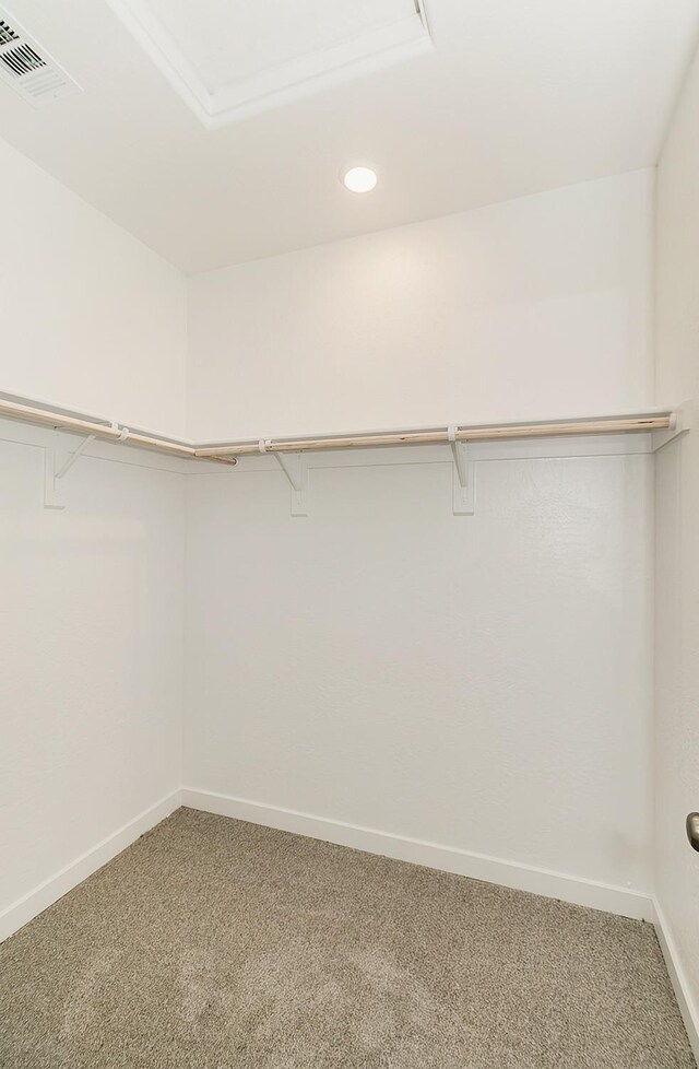 spacious closet with carpet flooring