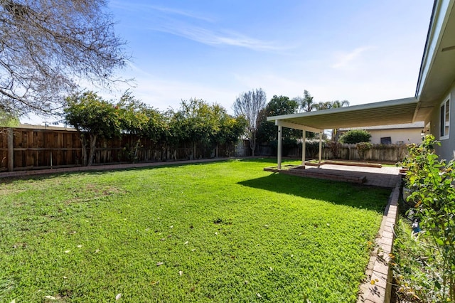 view of yard featuring a patio