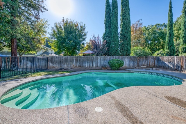 view of swimming pool with a fenced in pool, a patio, and a fenced backyard