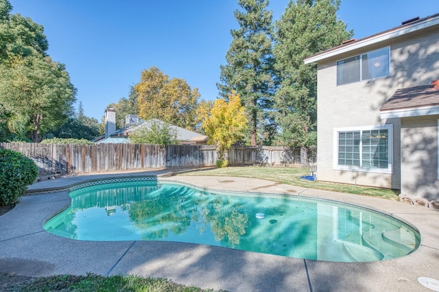 view of pool featuring a yard, a patio area, a fenced in pool, and a fenced backyard