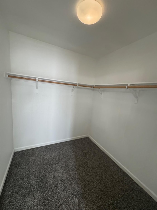 spacious closet with dark carpet