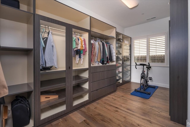 walk in closet with wood-type flooring