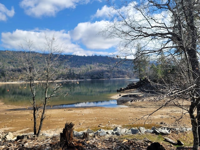 water view featuring a view of trees