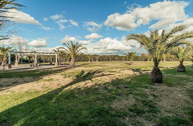 view of yard featuring a pergola