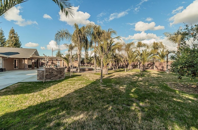 view of yard with a patio area