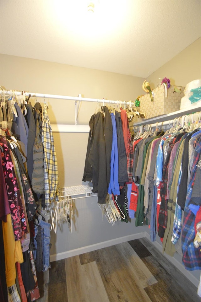 spacious closet featuring hardwood / wood-style flooring