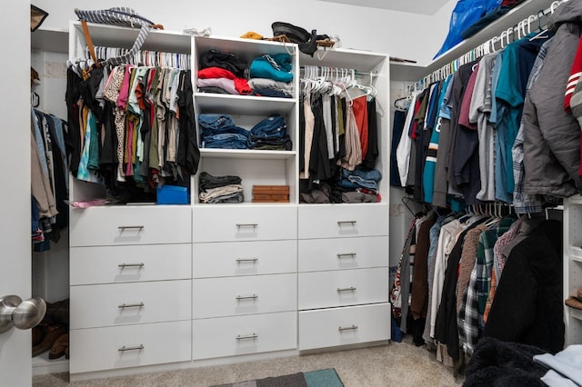 view of walk in closet