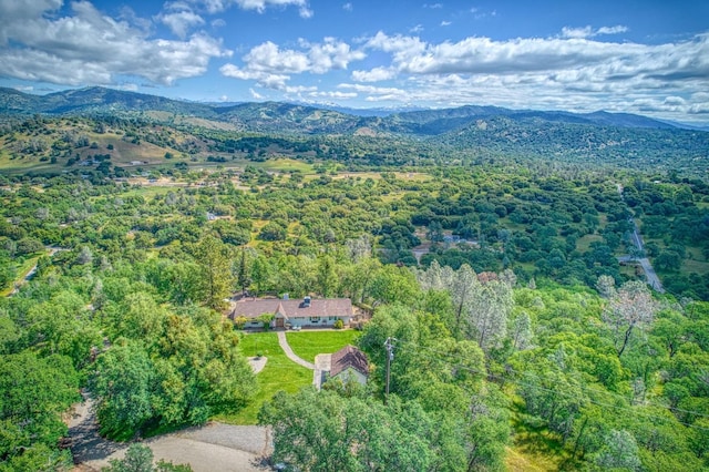 bird's eye view featuring a wooded view and a mountain view