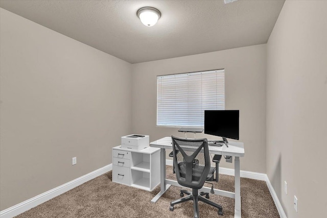 carpeted office space with a textured ceiling