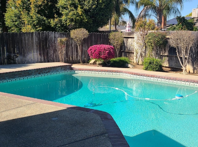 1855 Dennis Ave, Clovis, CA 93611 - view of swimming pool featuring a fenced in pool and a fenced backyard