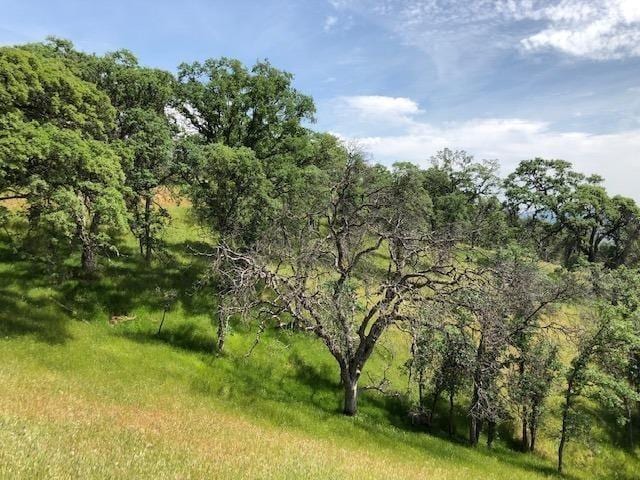 1 Tollhouse, Tollhouse CA, 93667 land for sale