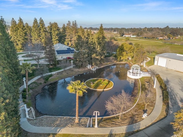 6702 N Langley Ave, Clovis, CA 93619 - drone / aerial view featuring a water view