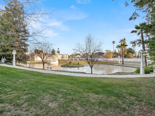 6702 N Langley Ave, Clovis, CA 93619 - photo 47