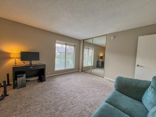 carpeted living room with a textured ceiling