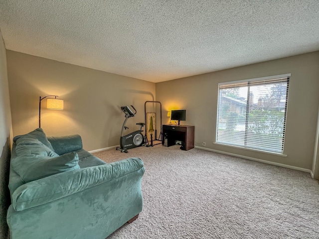 living room with carpet floors and a textured ceiling