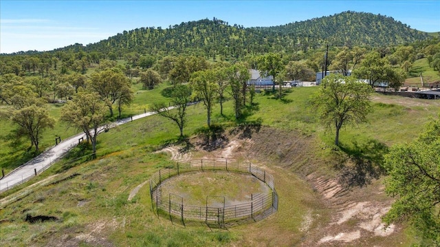 birds eye view of property with a rural view, a forest view, and a mountain view