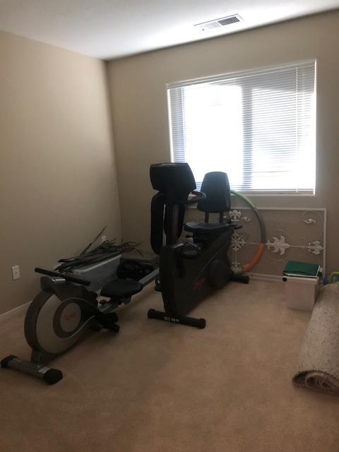 exercise area featuring light colored carpet