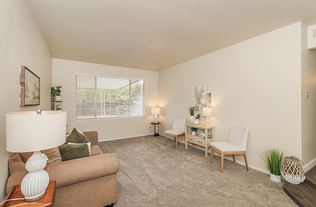 sitting room with carpet